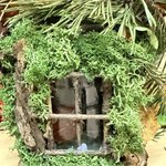 Photo 2025 12 08 09 31 09