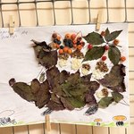 Photo 2025 12 08 09 29 37