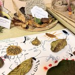 Photo 2025 12 08 09 28 49