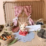 Photo 2025 12 08 09 28 36