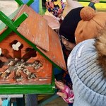 Photo 2025 12 24 15 18 36